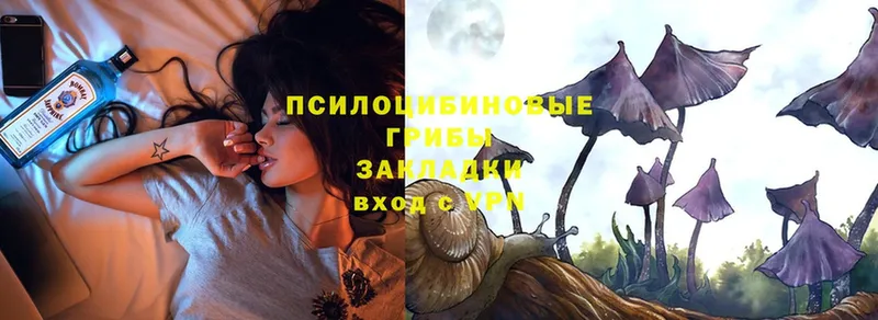 Галлюциногенные грибы Psilocybe  OMG   Калачинск 